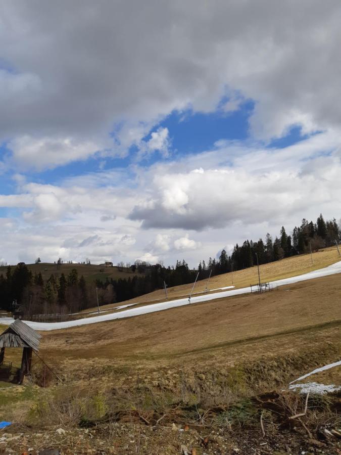 Domek U Zosi Villa Gliczarów Eksteriør billede